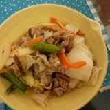 冷凍中華野菜de八宝菜